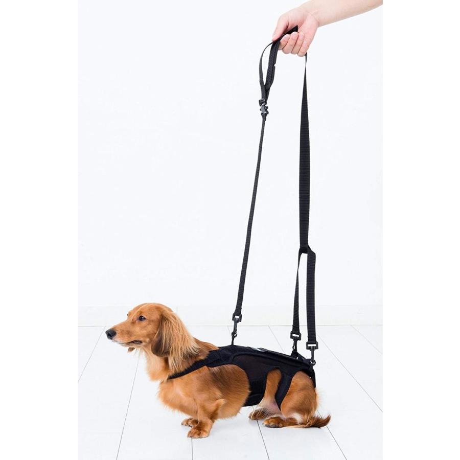 人気特価激安 アニフル Anifull わんコル 黒 M 犬用コルセット 絶対一番安い Zoetalentsolutions Com