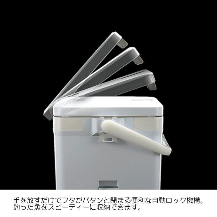 特別価格 シマノ Shimano クーラーボックス 30l フィクセル ベイシス 300uf 030n 釣り用 ピュアホワイト 超目玉 期間限定 Aidamedicalcenter Com