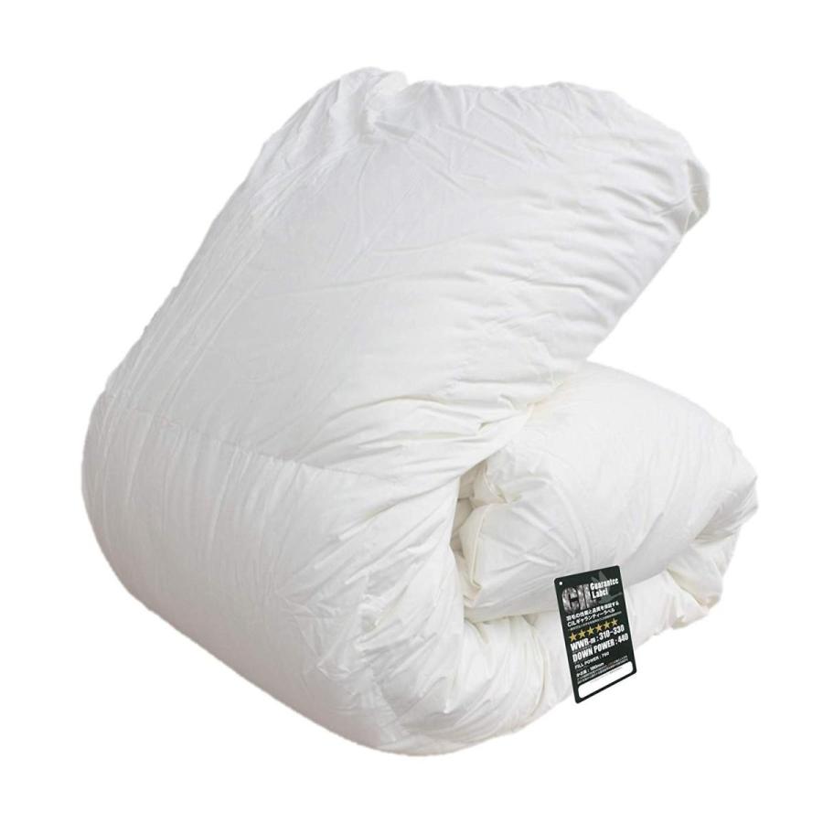 半額品 ハンガリー産ホワイトマザーダックダウン95 ツインキルト 羽毛布団 ダウンパワー440 日本製 シングル 人気no 1 本体 Www Atinkaonline Com