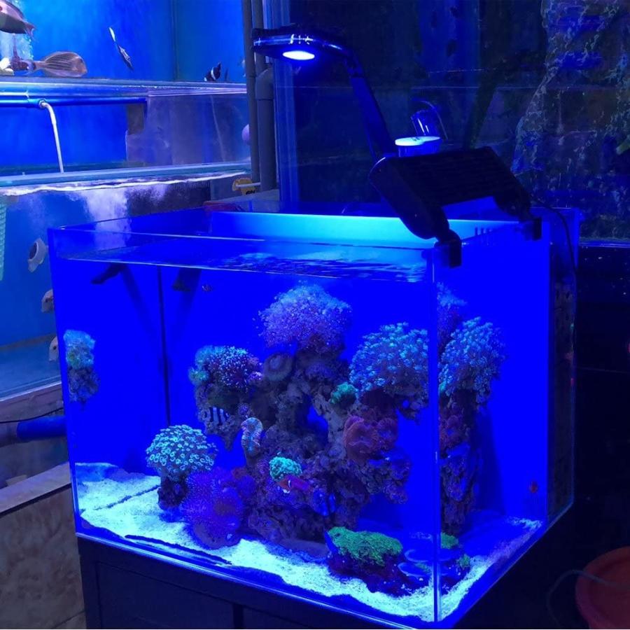 Lominie アクアリウム ライト 30w Led 水槽ライト 水槽用 照明 長寿命 観賞魚 熱帯魚 水草育成 Pixie 30 海水 鳳物販 通販 Yahoo ショッピング