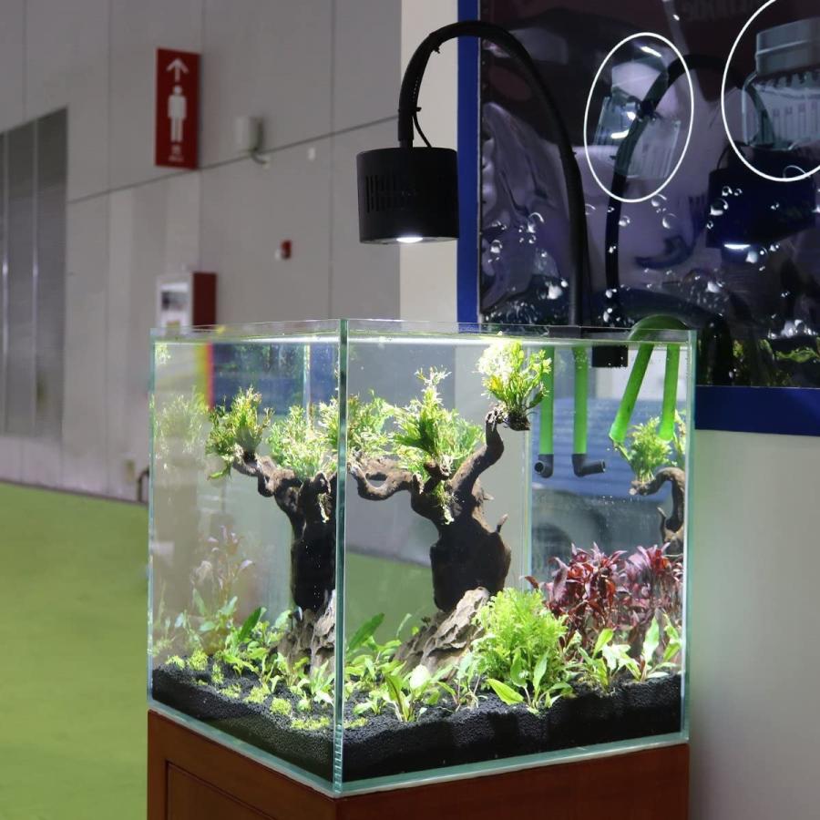 Lominie Leite 水族館led アクアリウム ライト 水草育成 50w Led 6500k 水槽照明 60cm 淡水 熱帯魚用 Www Supersport Tn
