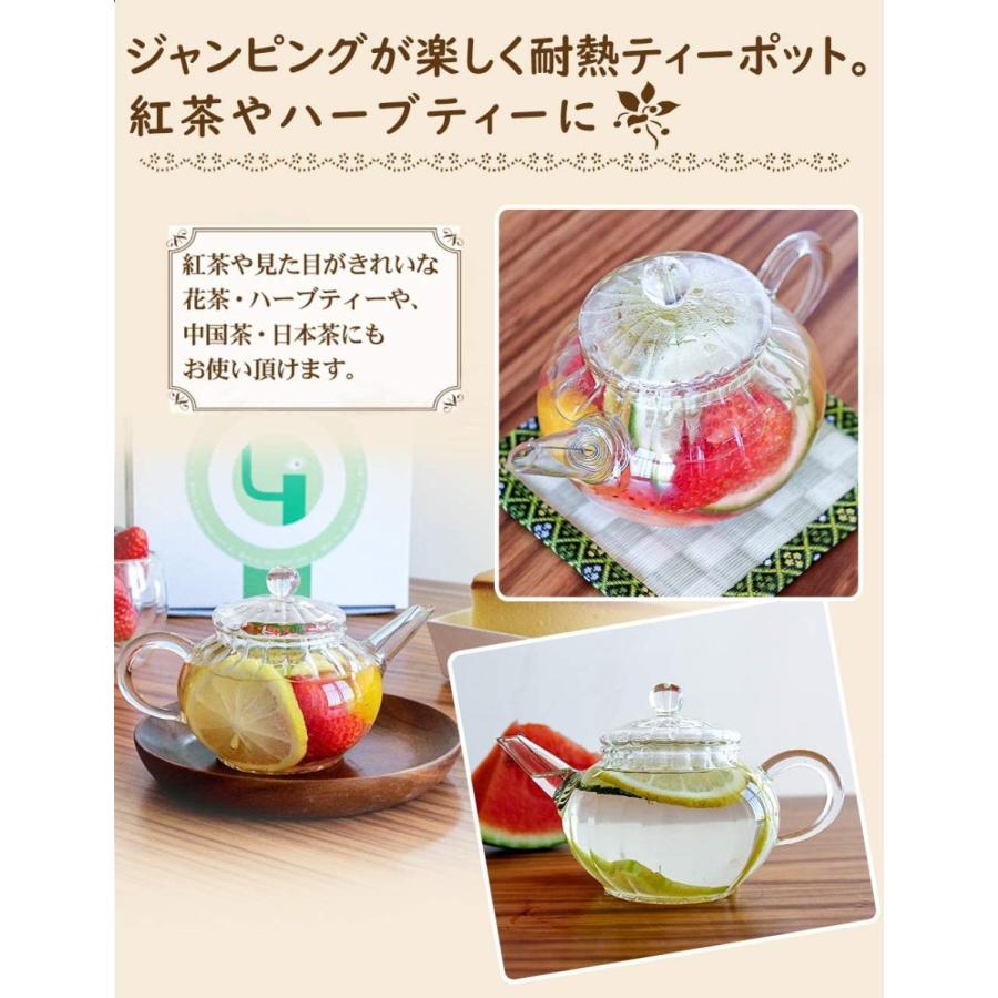 Iwailoft 耐熱ガラス ティーポット 茶こし付き ガラス 急須 おしゃれ ガラスポット 紅茶ポット 小 直火可 Il Set1925 鳳物販 通販 Yahoo ショッピング