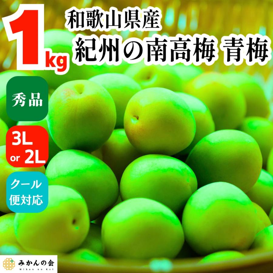 南高梅 青梅 秀品 1kg 3L or 2Lサイズ 和歌山県産 紀州有田 産地直送 クール便対応 梅酒作り用 梅ジュース作り用 2025年6月初旬出荷 | 
