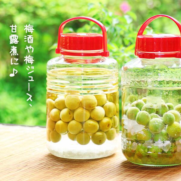 南高梅 青梅 秀品 1kg 3L or 2Lサイズ 和歌山県産 紀州有田 産地直送 クール便対応 梅酒作り用 梅ジュース作り用 2025年6月初旬出荷 |  | 02