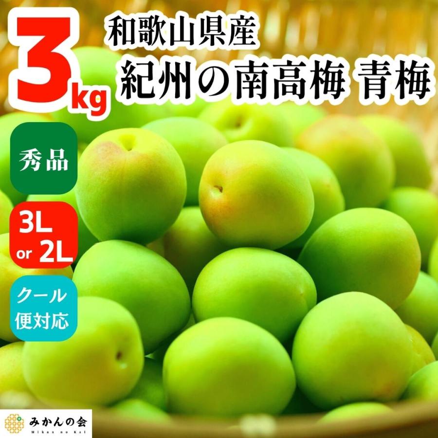 南高梅 青梅 秀品 3kg 3L or 2Lサイズ 和歌山県産 紀州有田 産地直送 クール便対応 梅酒作り用 梅ジュース作り用 2025年6月初旬出荷 | 