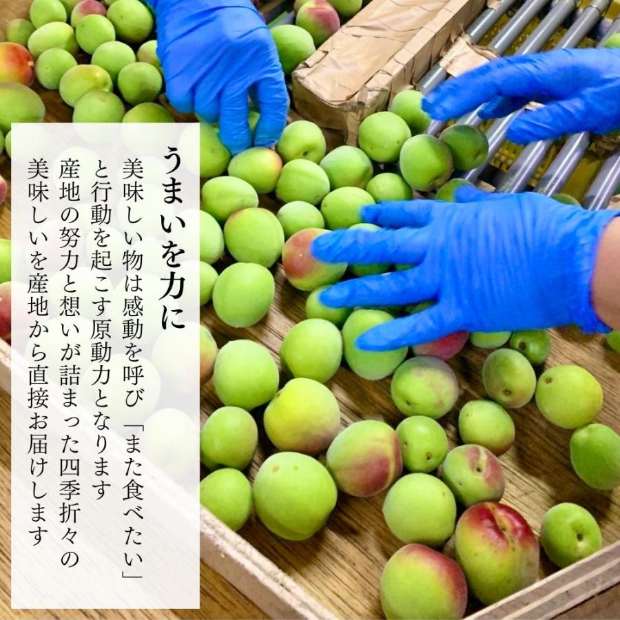 【先行予約】 南高梅 青梅 秀品 5kg 3L or2 Lサイズ 和歌山県産 紀州有田 産地直送 クール便対応 梅酒作り用 梅ジュース作り用 【みかんの会】｜mikannokai｜05