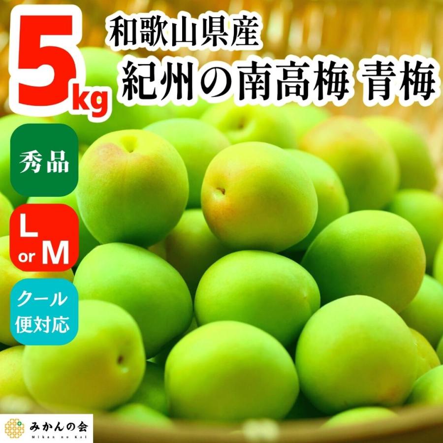 ページ統合・移転】送料無料 青梅 南高梅 秀品 5kg L or Mサイズ 