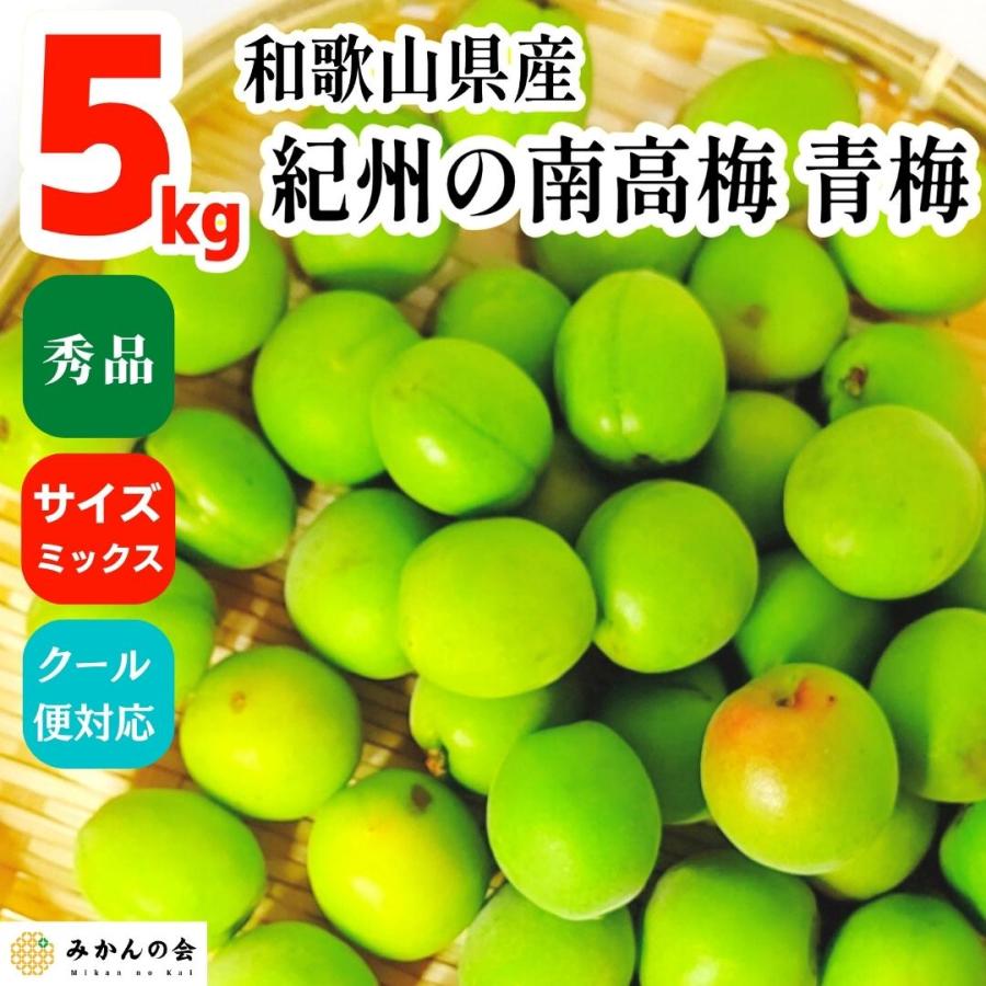 南高梅 青梅 秀品 5kg サイズミックス 和歌山県産 紀州有田 産地 南高梅 青梅 秀品 5kg サイズミックス 和歌山県産 紀州有田 産地