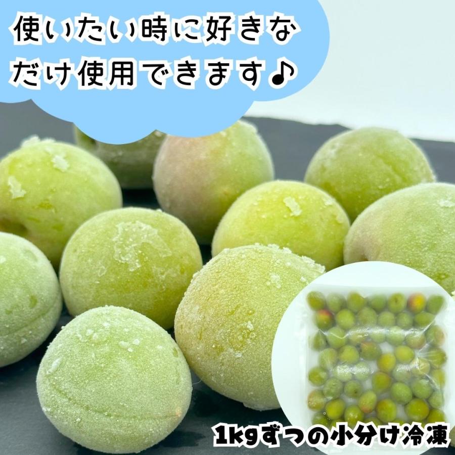 送料無料 冷凍 南高梅 青梅 10kg 5kg 3kg 秀品 2LorL 和歌山県産 紀州