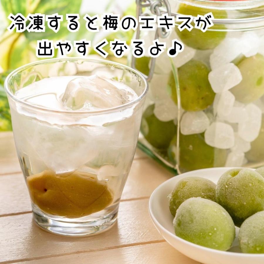 送料無料 冷凍 南高梅 青梅 10kg 5kg 3kg 秀品 2LorL 和歌山県産 紀州