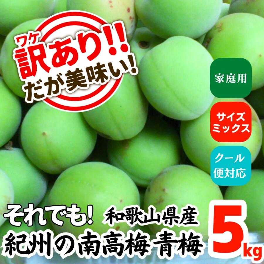 南高梅 青梅 訳あり 5kg サイズミックス 和歌山県産 紀州 産地直送 クール便対応 家庭用 梅シロップ 梅酒 梅ジュース 作り用 2025年6月初旬出荷 | 