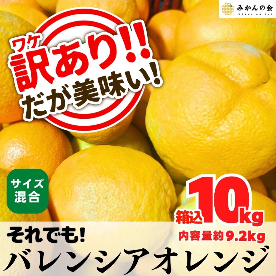 訳あり それでも 国産 バレンシアオレンジ  箱込 10kg (内容量 9.2kg ) サイズミックス 和歌山県産 産地直送【みかんの会】 | 