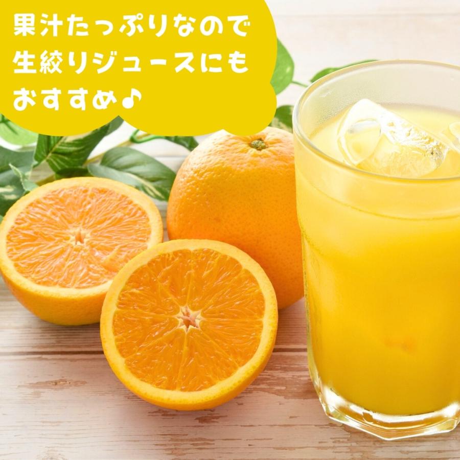 バレンシアオレンジ 国産 玉ぞろい 秀品 箱込 7.5kg (内容量 6.8kg ) 2L L M サイズのいずれか 和歌山県産 産地直送 【みかんの会】 |  | 04