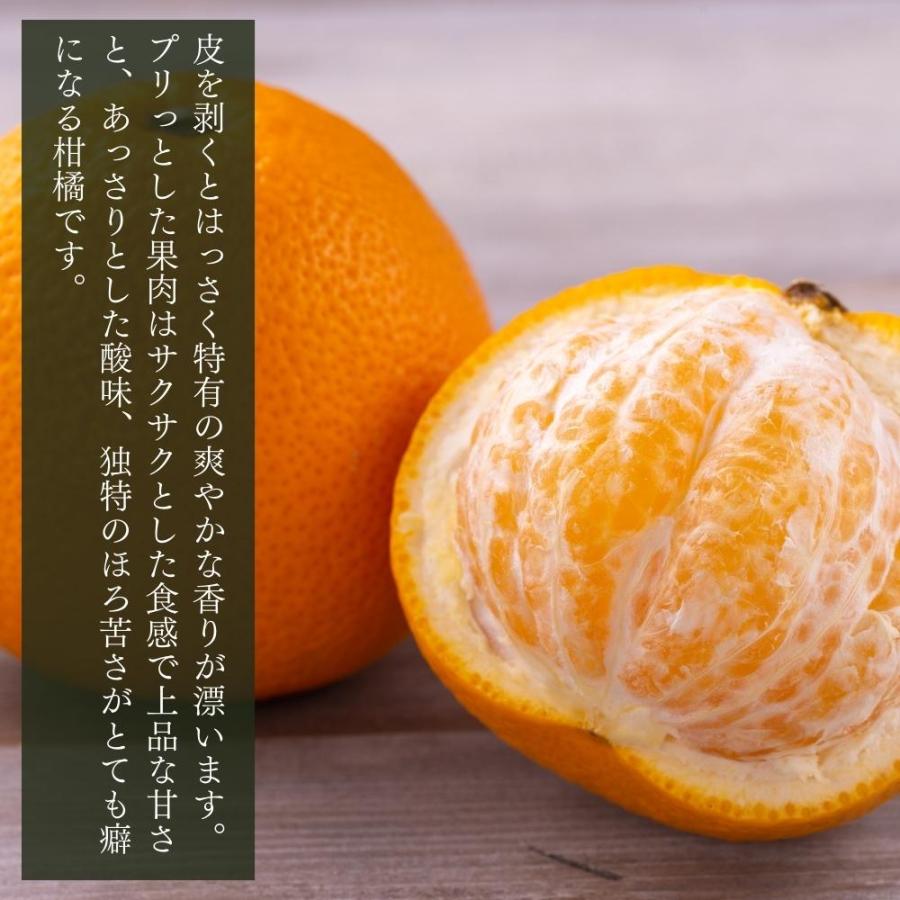 八朔 (はっさく) 小玉ちゃん 箱込 2.5kg(内容量約 2.3kg) 秀品 八朔 (はっさく) 小玉ちゃん 箱込 2.5kg(内容量約 2.3kg) 秀品