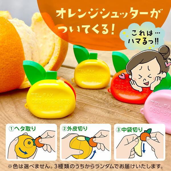 訳あり それでも 八朔 (はっさく) 箱込 2.5kg(内容量約 2.3kg) サイズ