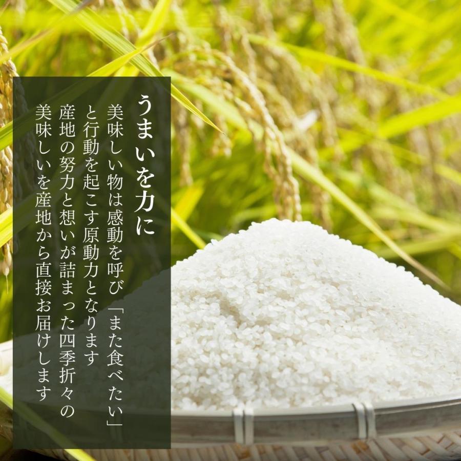 大特価】 お米 10kg 国産 にじのきらめき 白米 精米 おにぎり ごはん 