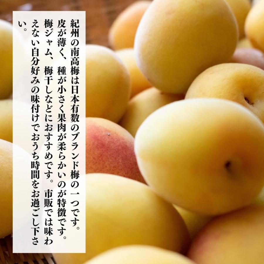 熟梅 南高梅 3kg 秀品 L/Mサイズのいずれか 紀州和歌山県産 産地直送 クール便対応 梅干し用 梅ジャム用 【みかんの会】 |  | 01
