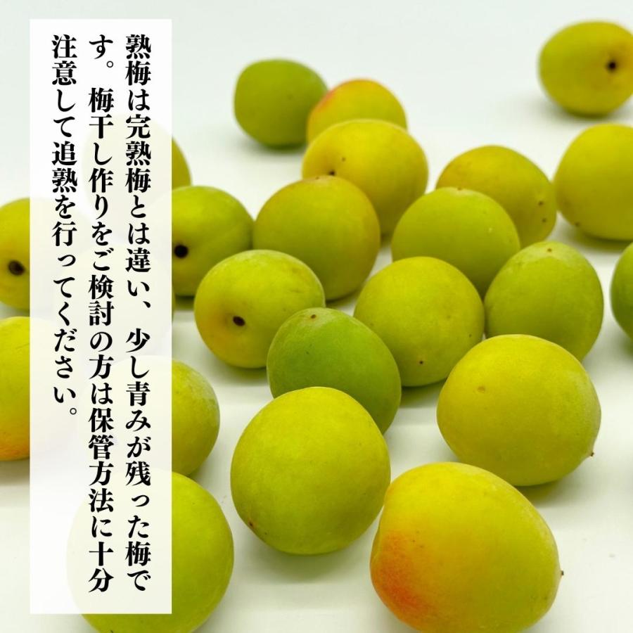 熟梅 南高梅 3kg 秀品 L/Mサイズのいずれか 紀州和歌山県産 産地直送 クール便対応 梅干し用 梅ジャム用 【みかんの会】 |  | 03