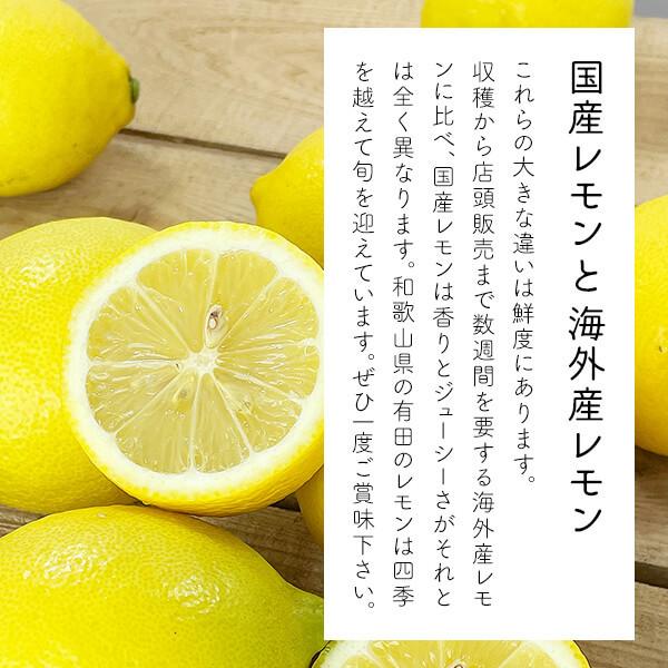 送料無料】レモン 国産 訳あり 箱込 10kg 7.5kg 5kg 2.5kg サイズ 