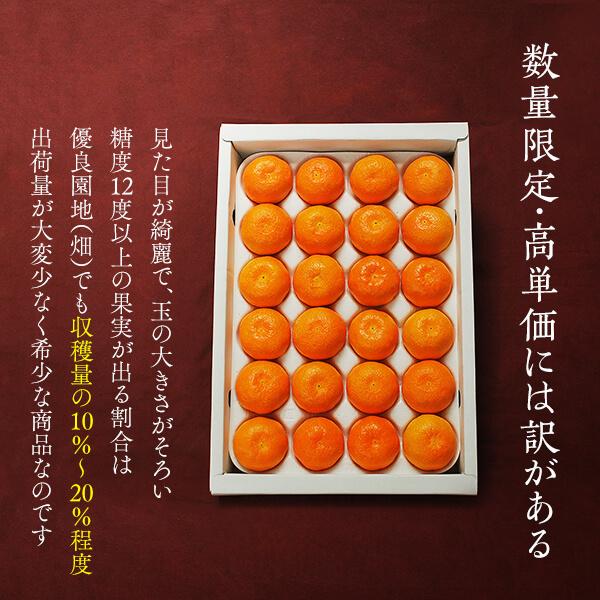 ※2025年度先行予約 みかん めっちゃ甘いんじゃ 糖度12度以上 箱込2kg（内容量2.1kg） 特選品 M S 2S サイズのいずれか 11月15日より出荷 和歌山産 産地直送 S品 |  | 05
