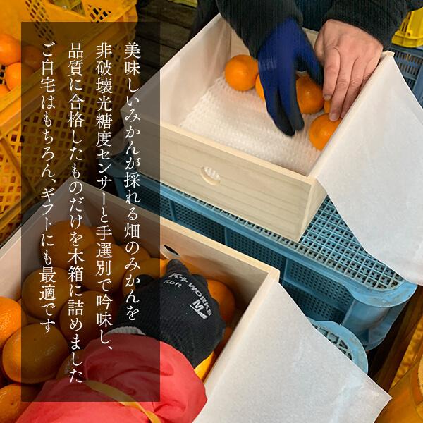 みかん めっちゃうまいんじゃ 木箱入 箱込約5kg（内容量4.3kg） みかん