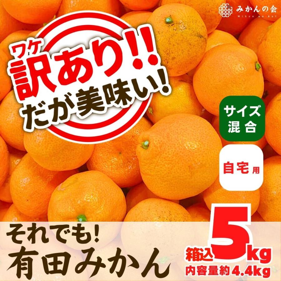 訳あり それでも みかん 箱込 5kg ( 内容量 4.4kg ) サイズミックス B