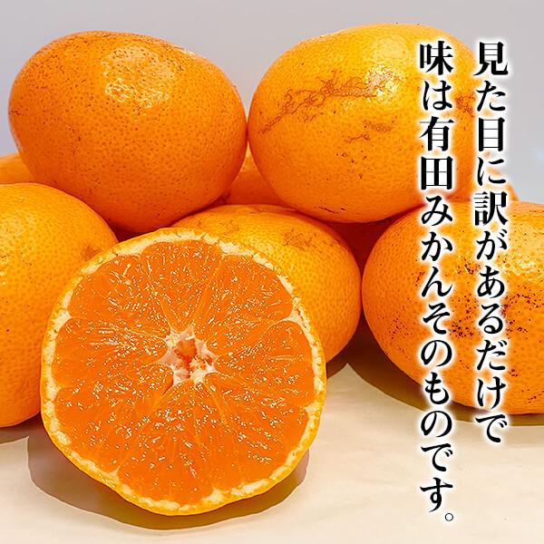 ※2025年度先行予約 訳あり それでも みかん  箱込 10kg (内容量9.2kg) サイズミックス Ｂ品 和歌山県産 有田みかん 産地直送 家庭用 ※2025年11月15日より出荷 |  | 03