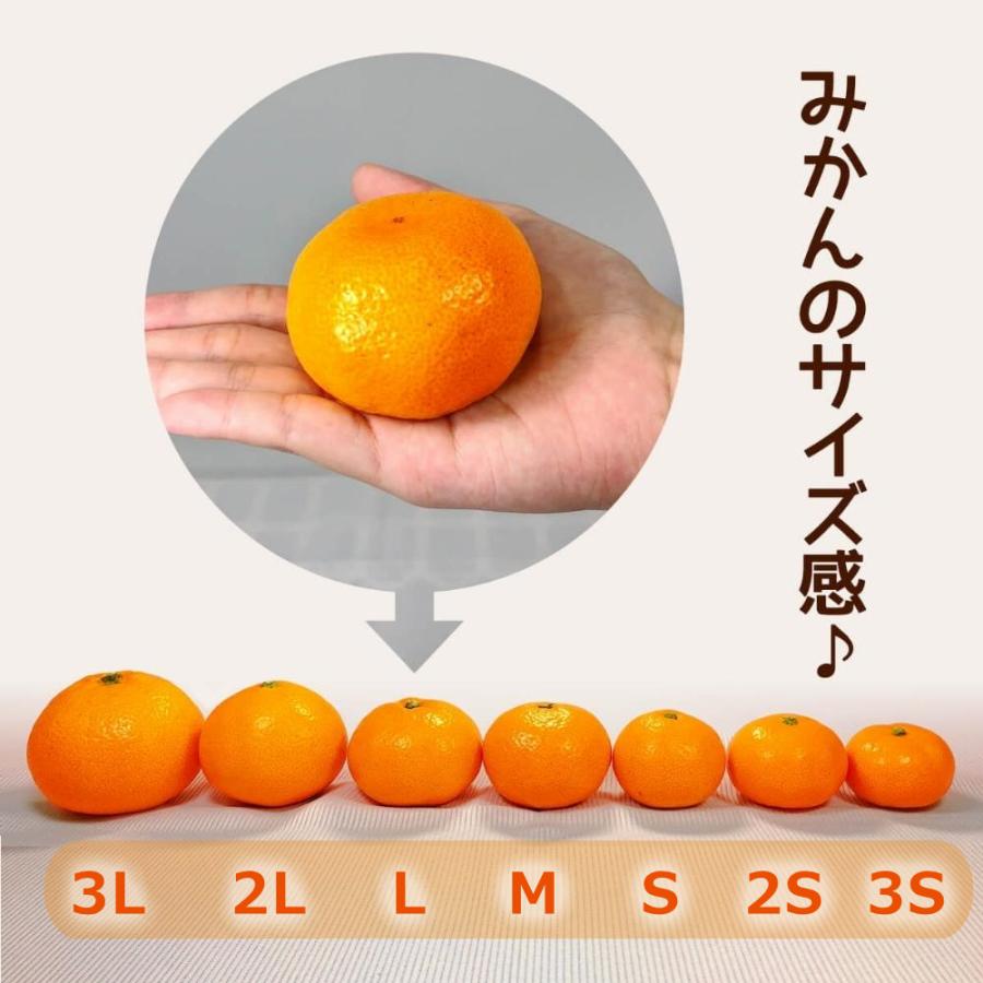 ※2025年度先行予約 訳あり それでも みかん  箱込 10kg (内容量9.2kg) サイズミックス Ｂ品 和歌山県産 有田みかん 産地直送 家庭用 ※2025年11月15日より出荷 |  | 04