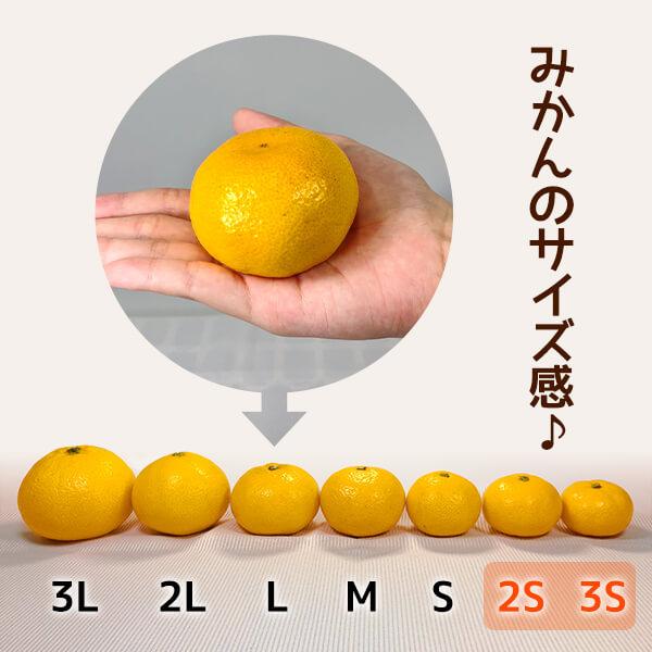 とにかく小玉 極早生 みかん 箱込 5kg ( 内容量 4.4kg ) 2Sサイズ以下