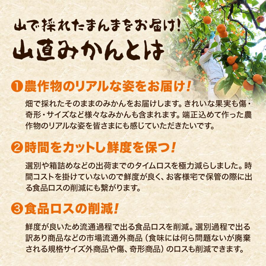 みかん 山から直送 箱込 10kg 7.5kg 5kg 2.5kg 1kg 600g 鮮度優先