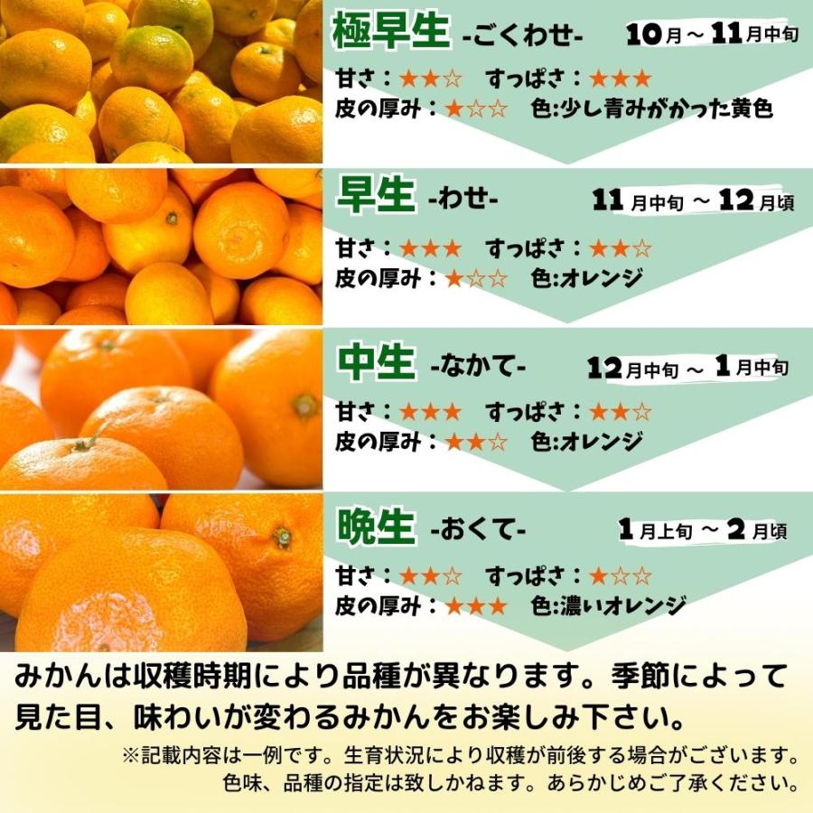 みかん 山から直送 箱込 10kg 7.5kg 5kg 2.5kg 1kg 600g 鮮度優先