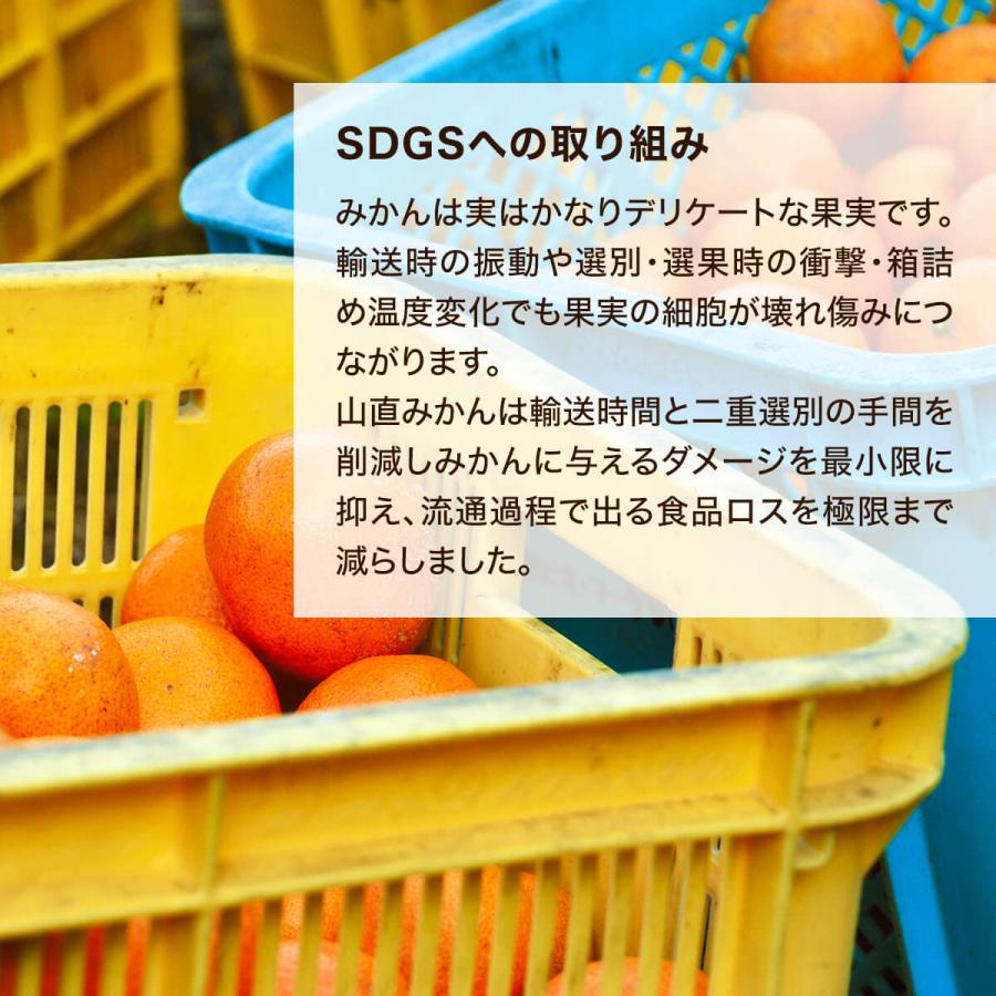楽天市場】【予約】 極早生 みかん 山から直送 箱込 10kg (内容