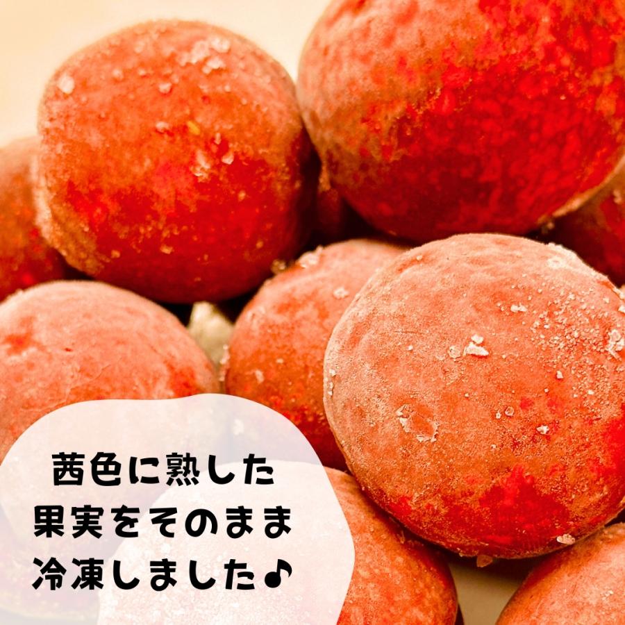 冷凍 露茜 500g 国産 梅 和歌山県産 紀州有田 クール便 【みかんの会