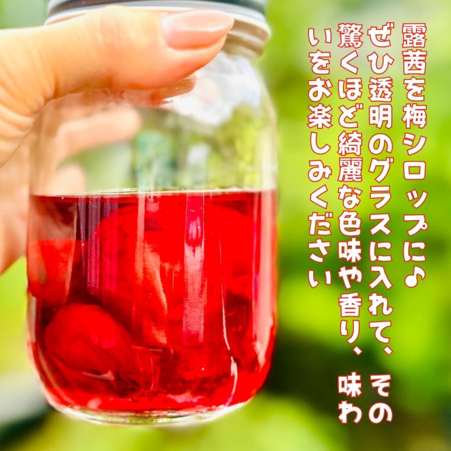 冷凍 露茜 500g 国産 梅 和歌山県産 紀州有田 クール便 【みかんの会