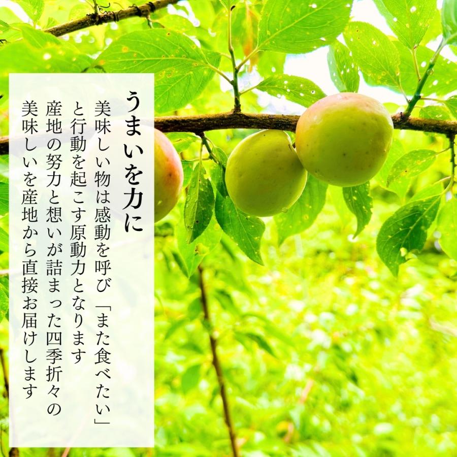冷凍 露茜 500g 国産 梅 和歌山県産 紀州有田 クール便 【みかんの会 