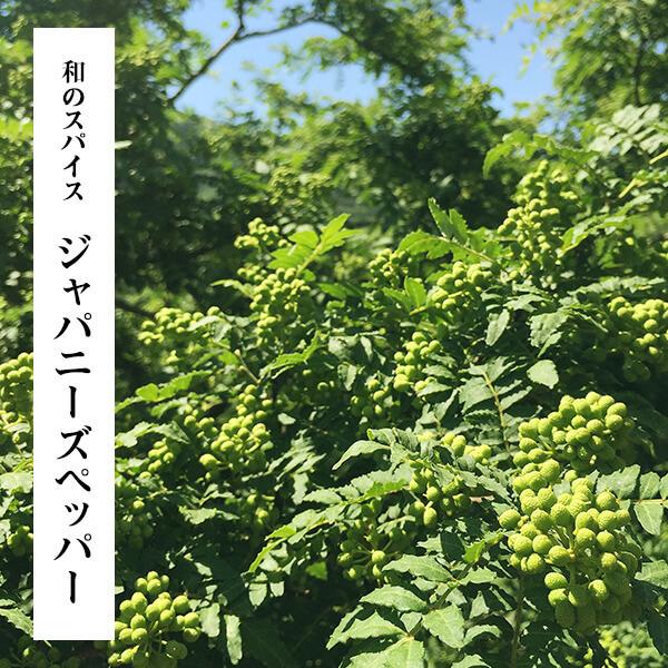 先行予約】 ぶどう山椒 1kg(500g×2箱）実山椒 生山椒 和の