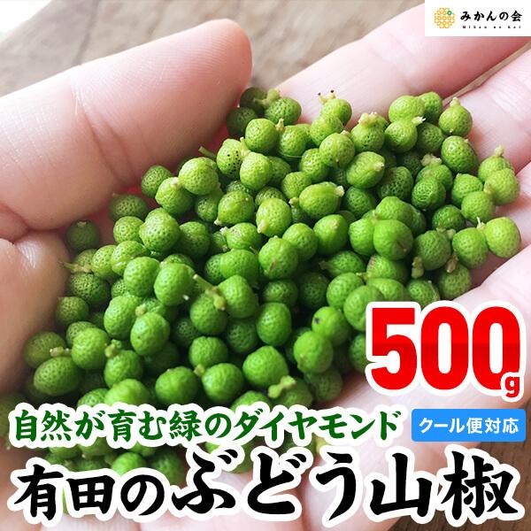 送料無料 有田の山椒 ぶどう山椒 500g 実山椒 生山椒 クール便対応 和歌山県産 佃煮 季節限定 箱買 ピリ辛 本店 ご自宅用 数量限定 お家時間 薬味 ご当地