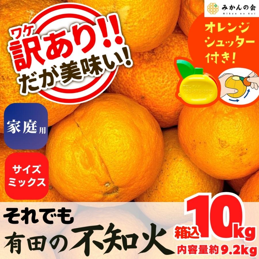 不知火 大玉（デコポン）訳あり10kg 2L〜5L（5kg×2箱）みため