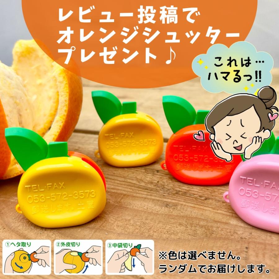 訳あり 不知火（しらぬい）送料無料 箱込 10kg 7.5kg 5kg 2.5kg サイズ