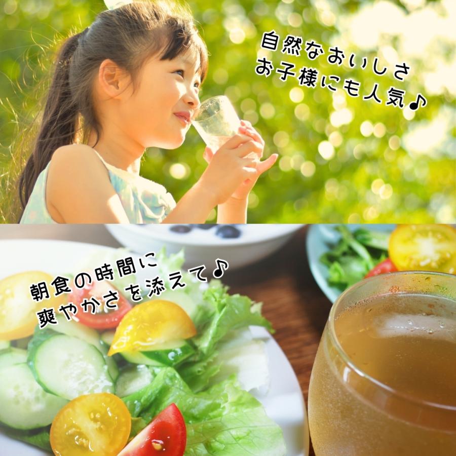 うめドリンク ( 500ml × 12本 ) 和歌山産 紀州の梅使用  【みかんの会】 |  | 03