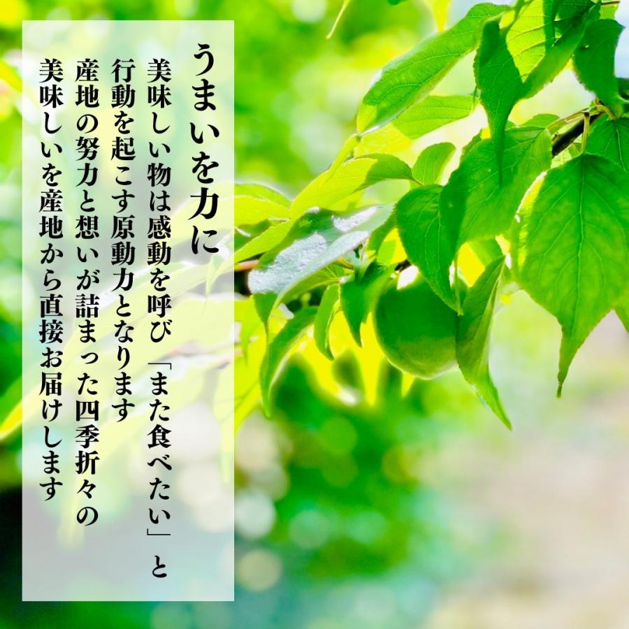 うめドリンク ( 500ml × 12本 ) 和歌山産 紀州の梅使用  【みかんの会】 |  | 04