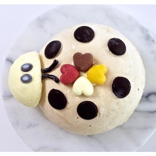アイスケーキ ヘーゼルナッツとチョコレート てんとうむし 5号 404 Mikans Bake Shop 通販 Yahoo ショッピング