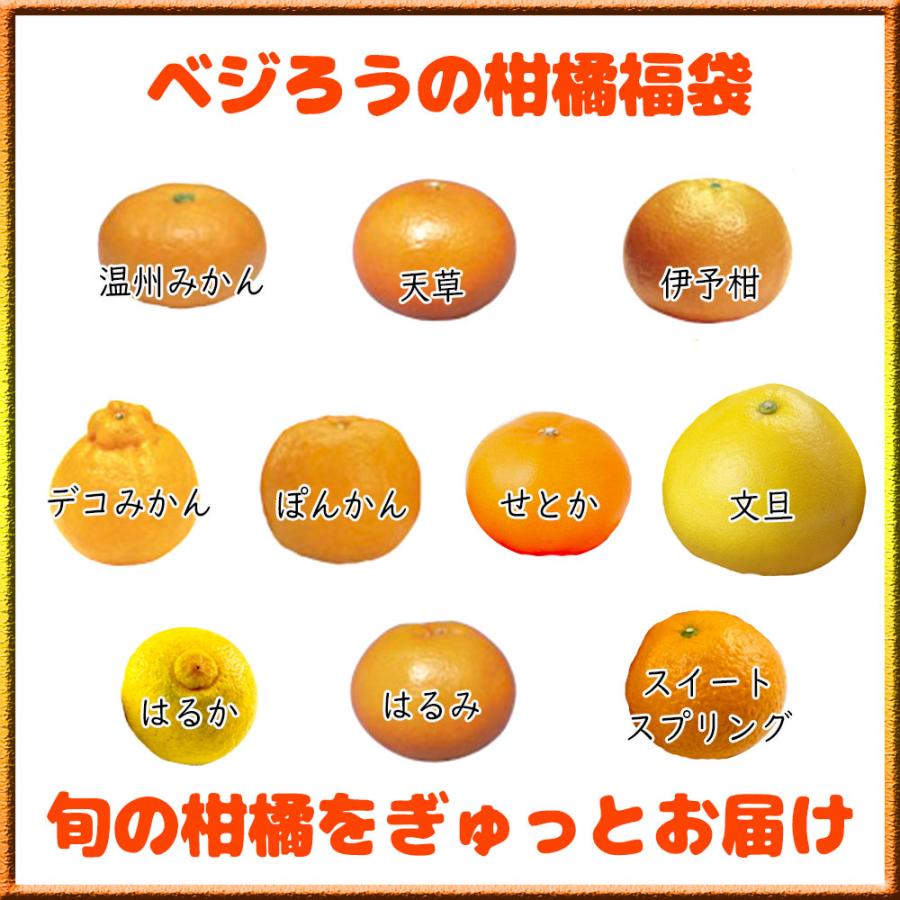 柑橘 訳あり 3種 詰め合わせ 福袋 愛媛県産 箱買い 約2ｋｇ 送料無料｜mikanyokochou｜02