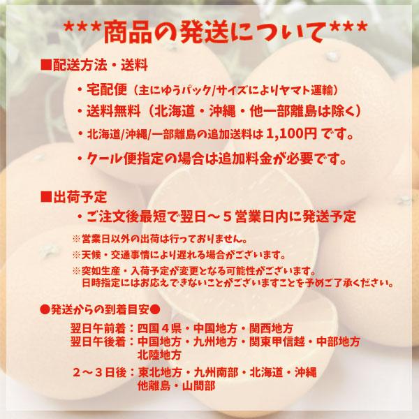 伊予柑 訳あり 宮内伊予柑 興居島産 いよかん 箱買い 宮内いよかん S〜4Ｌ 約4ｋｇ 送料無料｜mikanyokochou｜02