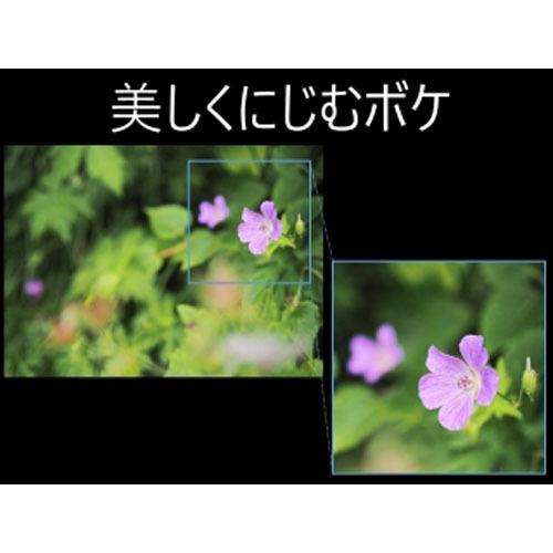 【新商品】 OM SYSTEM M.ZUIKO DIGITAL ED 20mm F1.4 PRO 【1070731754】(38260円)