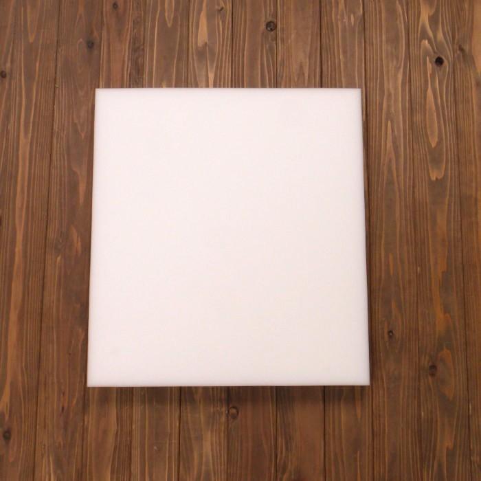 ヌード座布団 55×59 (実寸50×55×5cm) ウレタン 座布団 中身 クッション