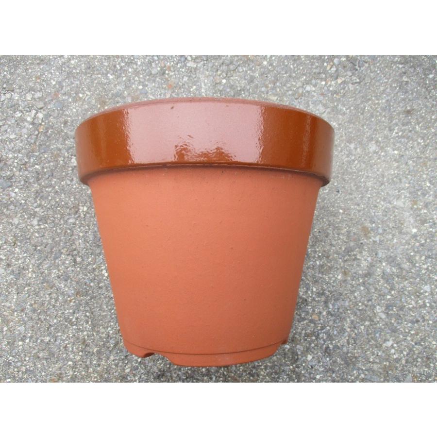 植木鉢 陶器 駄温深鉢 10号 約３１ ５センチ 常滑焼 Ku0001 10 三河のやきもの 通販 Yahoo ショッピング