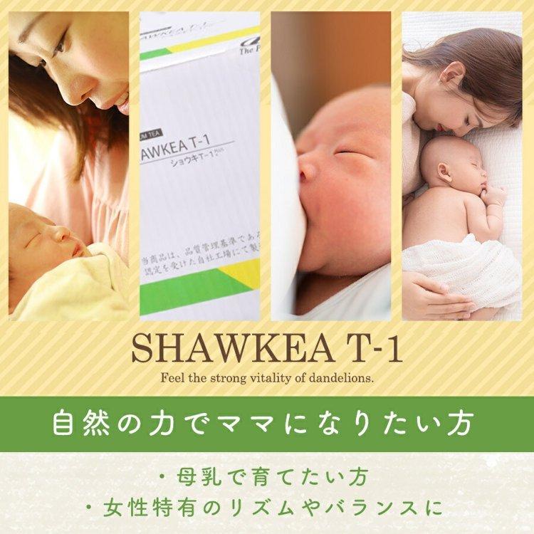 徳潤 たんぽぽ茶 ショウキ T-1 プラス 100ml 30袋 妊活 タンポポ茶