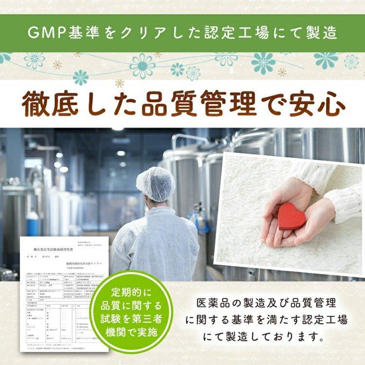 徳潤 たんぽぽ茶 ショウキ T-1 プラス 100ml 30袋 妊活 タンポポ茶