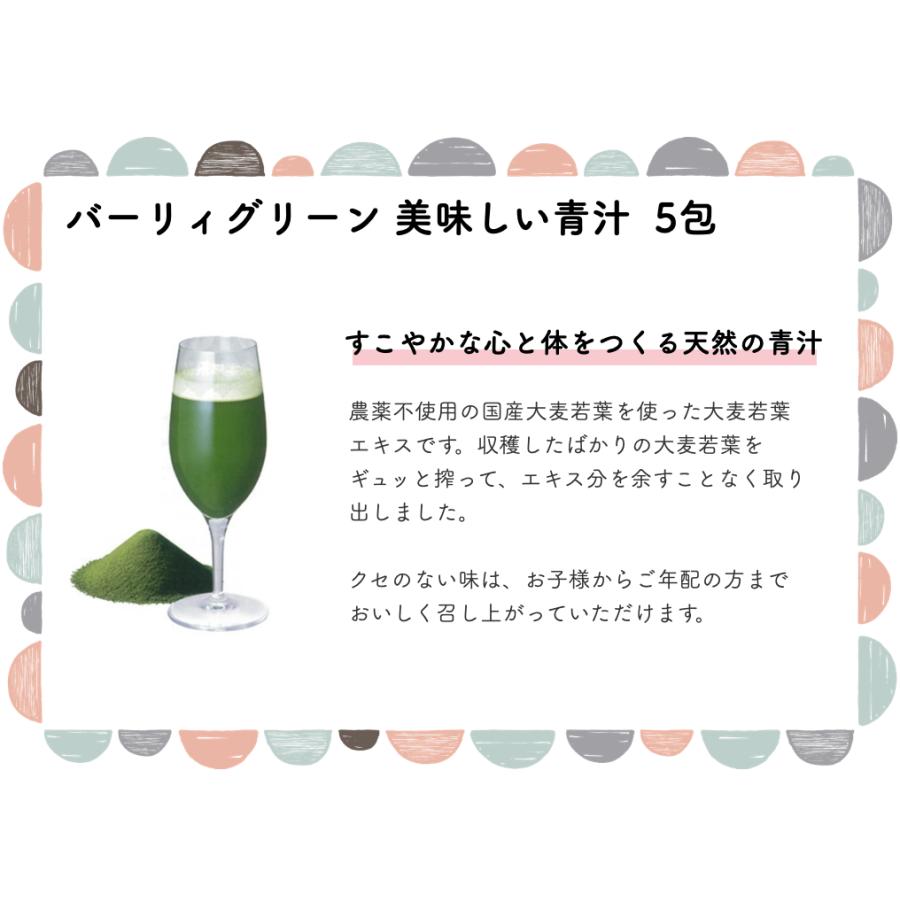 邵氏温灸器セット しょうしおんきゅうき 煙らん 温灸 温活 冷え 対策 お灸 おんきゅう ベビ待ち 関節痛｜mikawakanpoudo｜06